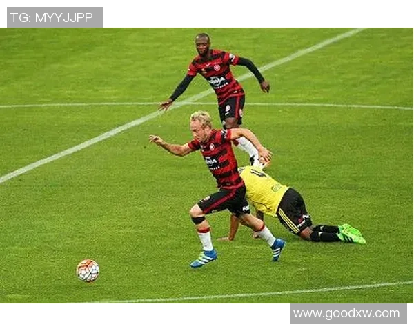 中央海岸与惠灵顿对决前瞻分析及比赛结果预测探讨